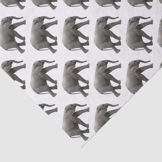 Papier Mousseline Eléphant africain (Détail)