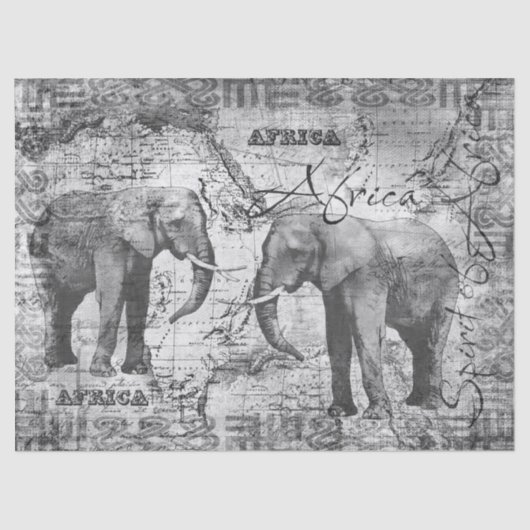 Papier Mousseline Éléphants africains (Recto)