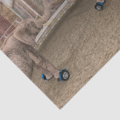 Papier Mousseline Eléphants de cirque amusants (Détail)