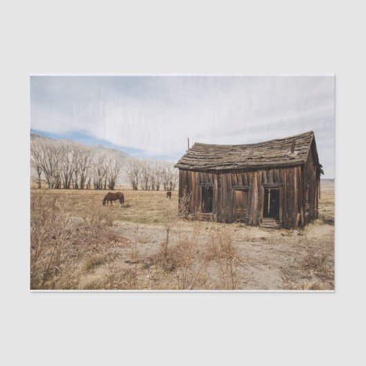 Papier Mousseline Élevage de la grange et des chevaux dans un champ (Recto)