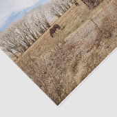 Papier Mousseline Élevage de la grange et des chevaux dans un champ (Détail)