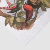 Papier Mousseline Elfe des bois dans le nid : Antique Oiseau Sprite  (Détail)