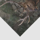 Papier Mousseline Elk (Détail)