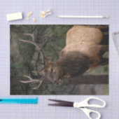 Papier Mousseline Elk (Artisanat)