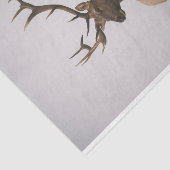 Papier Mousseline Elk 2 (Détail)