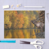 Papier Mousseline Elk de la rivière d'automne (Artisanat)