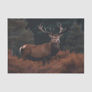 Papier Mousseline Elk Tissue Paper
