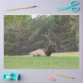 Papier Mousseline Elk Tissue Paper (Artisanat)