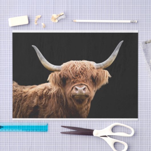 Papier Mousseline Ellie, le Highland Coo (Artisanat)