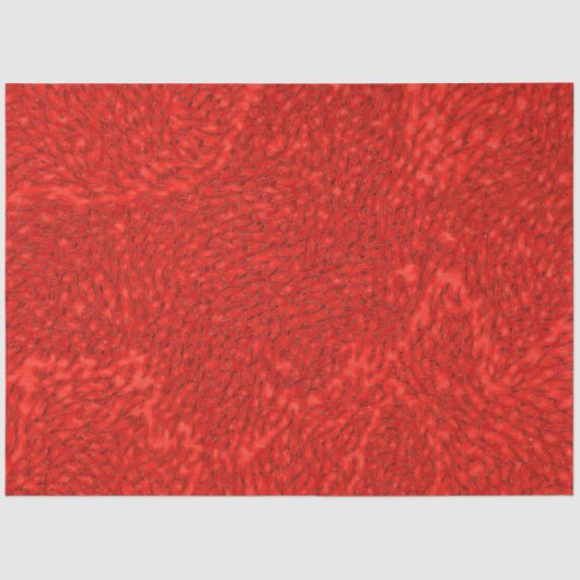 Papier Mousseline Ember Pulse Wrapping Paper 02 (Recto)