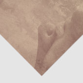 Papier Mousseline embrasser (Détail)