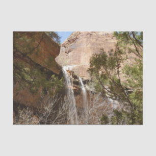 Papier Mousseline Emerald Pool Falls I du parc national Zion