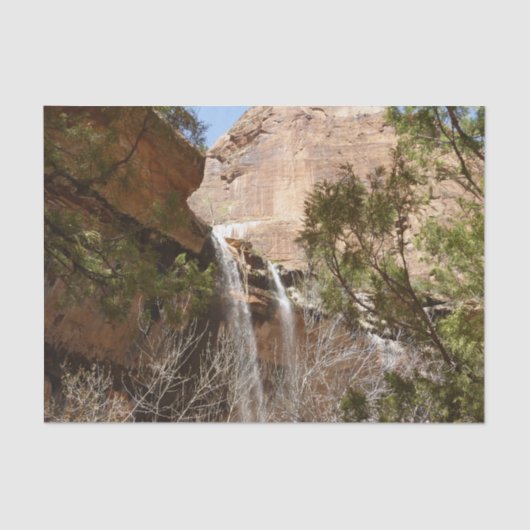 Papier Mousseline Emerald Pool Falls I du parc national Zion (Recto)