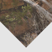 Papier Mousseline Emerald Pool Falls I du parc national Zion (Détail)