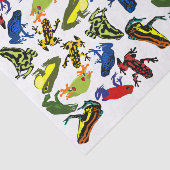 Papier Mousseline Empoisonnez les grenouilles de dard, grenouille (Détail)