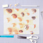 Papier Mousseline Empreinte photo en coquillage de plage artisanat d (Artisanat)