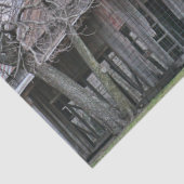 Papier Mousseline En ruines Grange en bois avec Arbres nus environna (Détail)