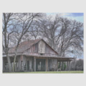 Papier Mousseline En ruines Grange en bois avec Arbres nus environna (Recto)