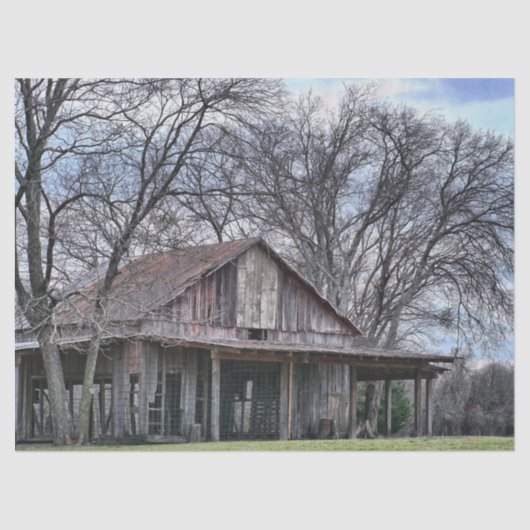 Papier Mousseline En ruines Grange en bois avec Arbres nus environna (Recto)