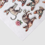 Papier Mousseline Ensemble de chats Sphynx sans cheveux (Détail)