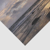 PAPIER MOUSSELINE ENSOLEIL (Détail)