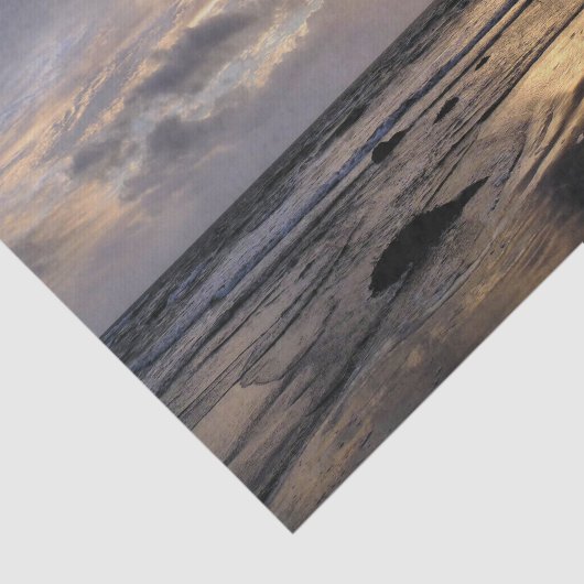 PAPIER MOUSSELINE ENSOLEIL (Détail)