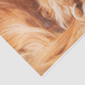 Papier Mousseline Épagneul Cavalier King Charles Ruby (Détail)