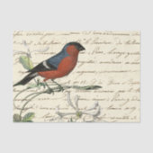 Papier Mousseline Ephemera Bird et Script (Recto)