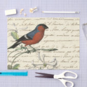 Papier Mousseline Ephemera Bird et Script (Artisanat)