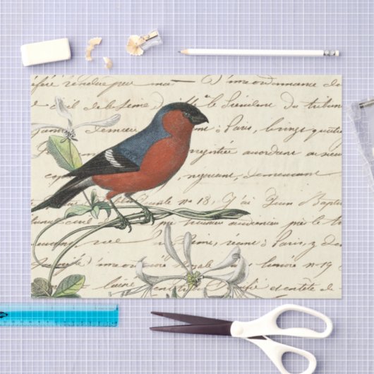 Papier Mousseline Ephemera Bird et Script (Artisanat)