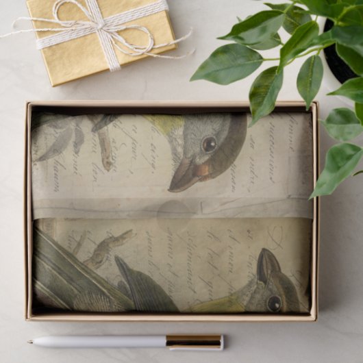 Papier Mousseline Ephemera Birds et Script (Cadeau)