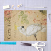 Papier Mousseline Ephemera Carte Postale Française Cockatoo Déchoupa (Artisanat)