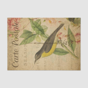Papier Mousseline Ephemera Carte Postale Française Découpage Oiseau 