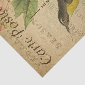 Papier Mousseline Ephemera Carte Postale Française Découpage Oiseau  (Détail)