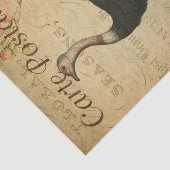 Papier Mousseline Ephemera Carte Postale Française Découpage Ostrich (Détail)