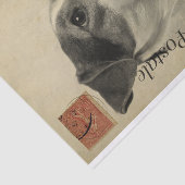 Papier Mousseline Ephemera Carte Postale Française Jack Russel Terri (Détail)
