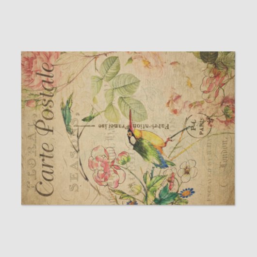 Papier Mousseline Ephemera Carte postale Française Kingfisher Bird D (Recto)