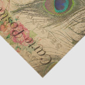 Papier Mousseline Ephemera Carte Postale Française Peacock Plumes Dé (Détail)