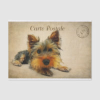 Ephemera Carte Postale Française Terrier Chien Déc