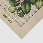 Papier Mousseline Ephemera Christian Chanson O Holy Night Decoupage (Détail)