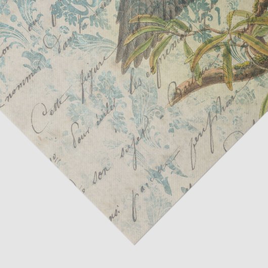 Papier Mousseline Ephemera Damask Bird (Détail)