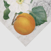 Papier Mousseline Ephemera Floral Café Découpage Français (Détail)