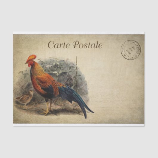 Papier Mousseline Ephemera French Postcard Roster Chick Decoupage (Recto)