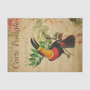 Papier Mousseline Ephemera French Tropical Toucan Bird Decoupage