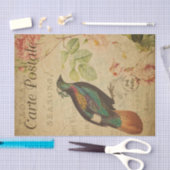 Papier Mousseline Ephemera Himalaya Monal Pheasant Déchoupage d'oise (Artisanat)