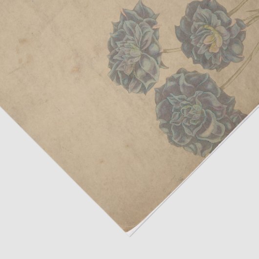 Papier Mousseline Ephemera Sheet Design Series #1 (Détail)