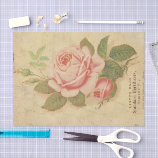 Papier Mousseline Ephemera Sheet Design Series #10 (Artisanat)