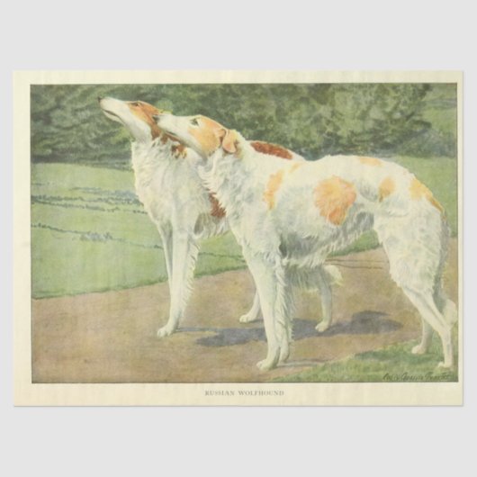 Papier Mousseline Ephémère Chien vintage Découpage Wolfhounds Russes (Recto)