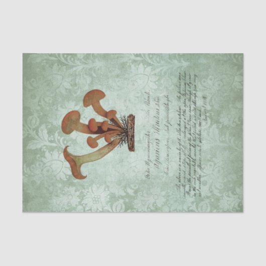 Papier Mousseline Ephémère de champignons vintages (Recto)