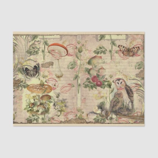 Papier Mousseline Ephémère de champignons vintages série 6 (Recto)